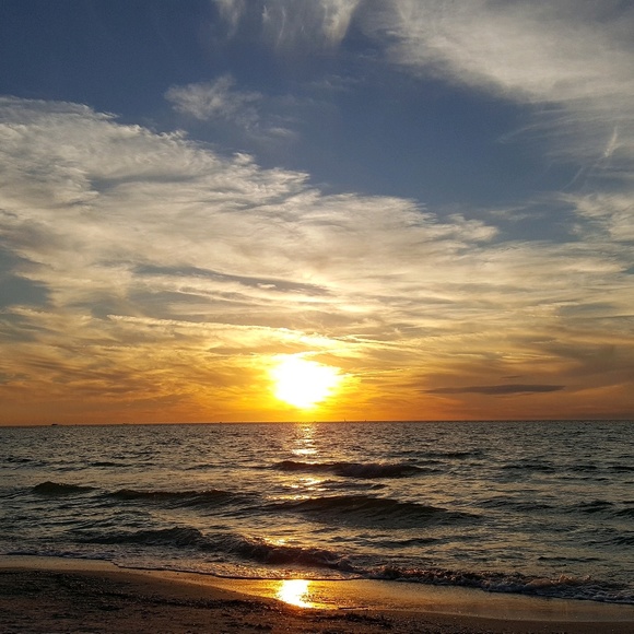 Meet your Posher, Sandy - Picture 1 of 1